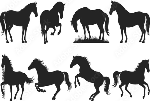 Black horse silhouettes set, running standing grazing poses, equine animal vector illustration collection isolated on white background design graphic bundle
