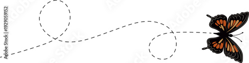 Butterfly flying path. A Butterfly flying in a dotted line. The flight path of Butterfly. Butterfly flying on a dotted route. Hand drawn moth. Spring and summer Vector illustration.