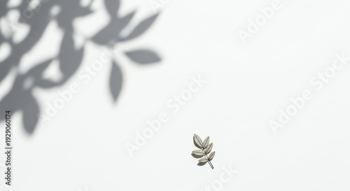 Minimalist image of a small branch with leaves and a tiny insect on a plain background.