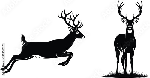 Black deer silhouettes set, leaping buck and standing stag with large antlers, forest wildlife icons, woodland animals, isolated on white background.