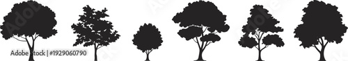 Tree silhouettes collection set isolated on white background, deciduous forest shapes, nature landscape design elements vector illustration black minimal icons