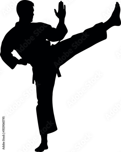 Silhouette of a person performing a high kick in a martial art