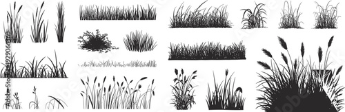 Grass silhouette vector set, meadow plants collection, wild reeds foliage elements, nature landscape design isolated on white background illustration bundle