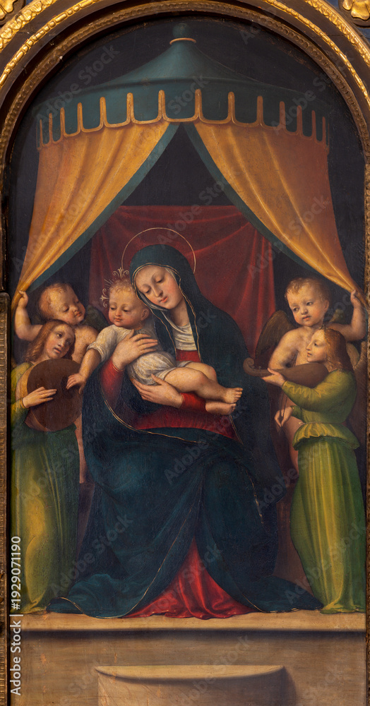 Obraz premium VIGEVANO, ITALY - JANUARY 18, 2026: The renaissance painting of Madonna among the angels (part of Polyptych) in the church Cattedrale di Santa Maria Assunta by Bernardo Ferrari (1495 - 1574).