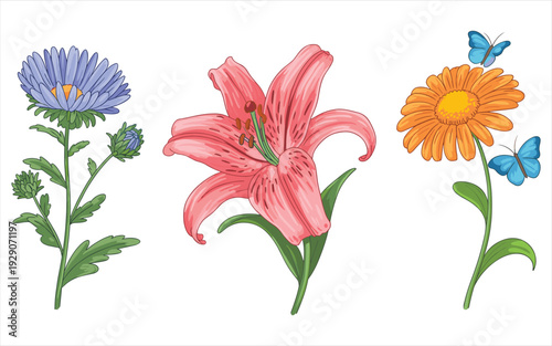 Three Different Flowers and Butterflies Isolated on White Background Stock Illustration