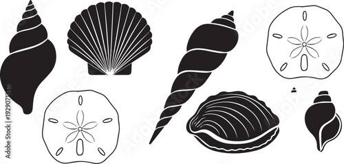 Seashell collection silhouette set, different shapes vector