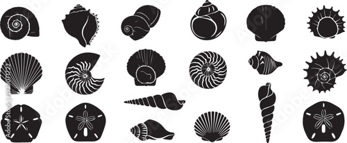 Seashell collection silhouette set, different shapes vector