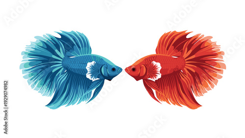 two vivid betta fish facing each other hand drawn colorful vector illustration