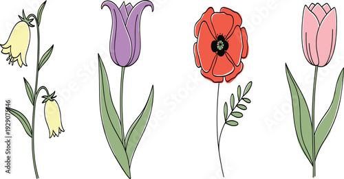 Hand drawn spring flowers collection with tulip poppy bellflower and decorative botanical elements for floral design and garden illustration.