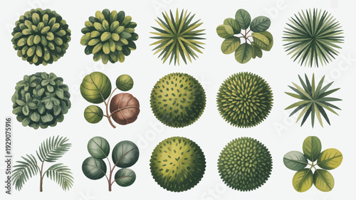 A collection of green plants and leaves on a light gray background