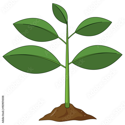Green seedling growing, plant sprout in dirt, ecology growth concept, organic farming element, nature garden life