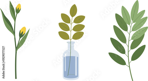 Minimal botanical branch and leaves with glass bottle composition for modern floral decor natural plant illustration and eco lifestyle design.