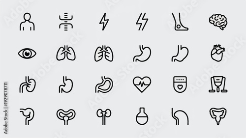 Black line icons of human body organs and systems