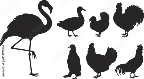 Large collection of black bird silhouettes featuring flamingo duck rooster hen and penguin in various standing poses isolated on white background for wildlife nature design