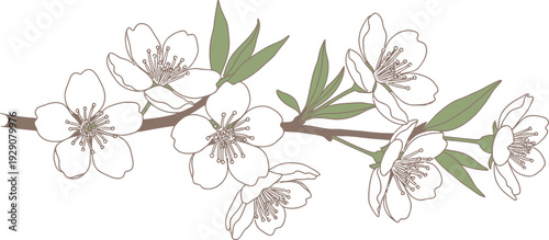 A beautifully illustrated branch of delicate pink cherry blossoms with green leaves, symbolizing spring, new beginnings, and natural beauty.