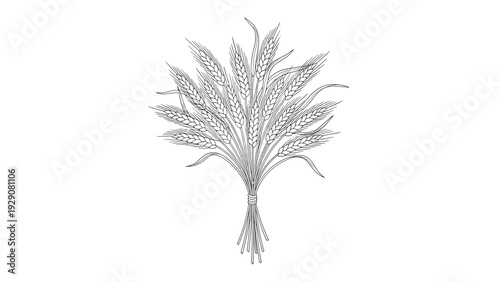 Detailed black and white line art illustration depicts a tied bundle of ripe wheat ears, symbolizing harvest, nature, and agriculture.