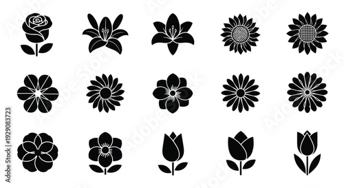 A collection of intricate and symmetrical floral designs in black and white