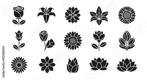 A collection of intricate floral designs showcasing various types of flowers and patterns