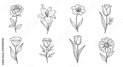 A collection of nine different types of flowers in a simple line drawing