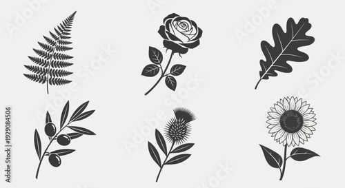A collection of six different types of leaves and flowers in black and white