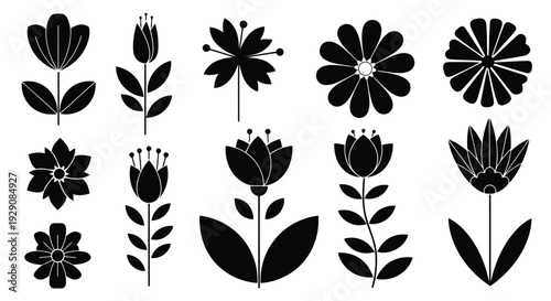 A collection of various black and white floral designs and patterns