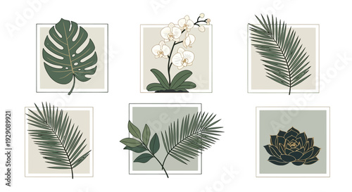 A collection of various fern species showcasing their unique leaf structures and patterns.