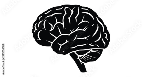 A stark black silhouette of a human brain showcasing complex convolutions and neural pathways a striking visual silhouette