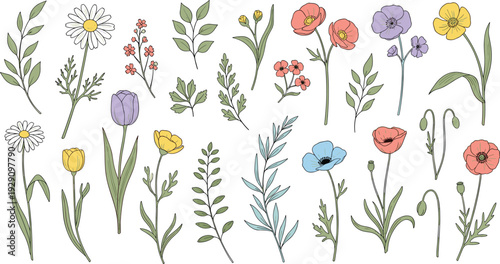 Wildflower and botanical herb collection hand drawn meadow plants for wedding invitation and natural design vector set