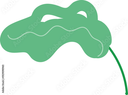 트로피컬 넓은 잎사귀 벡터 이미지