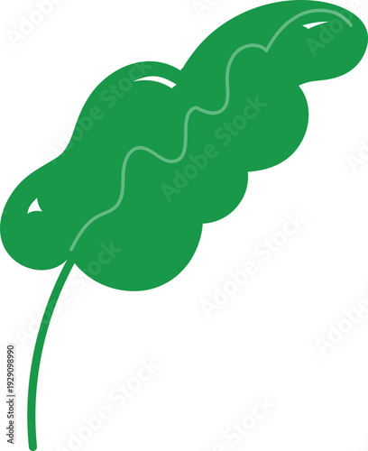 트로피컬 넓은 잎사귀 벡터 이미지