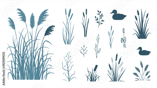 Set of various aquatic plants and ducks silhouettes on white background for graphic design