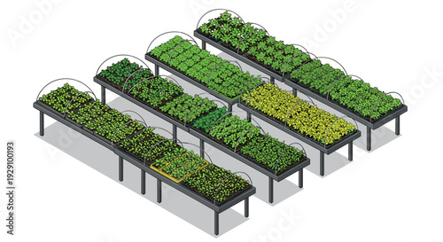 isometric set of raised garden beds with various seedlings protected by transparent covers hand drawn vector illustration for urban farming and gardening