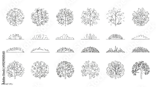 Set of various tree and bush line art illustrations for design and decoration purposes