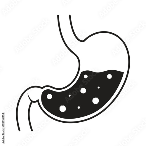 Human stomach with food and gas bubbles inside digestive system