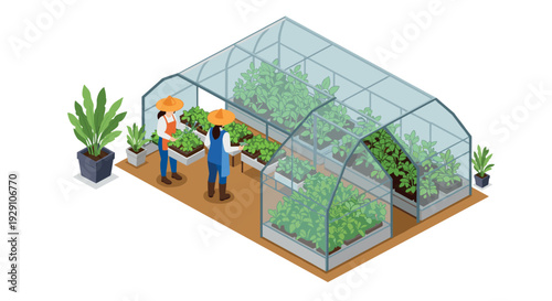 two farmers working inside a greenhouse with green plants in isometric vector illustration