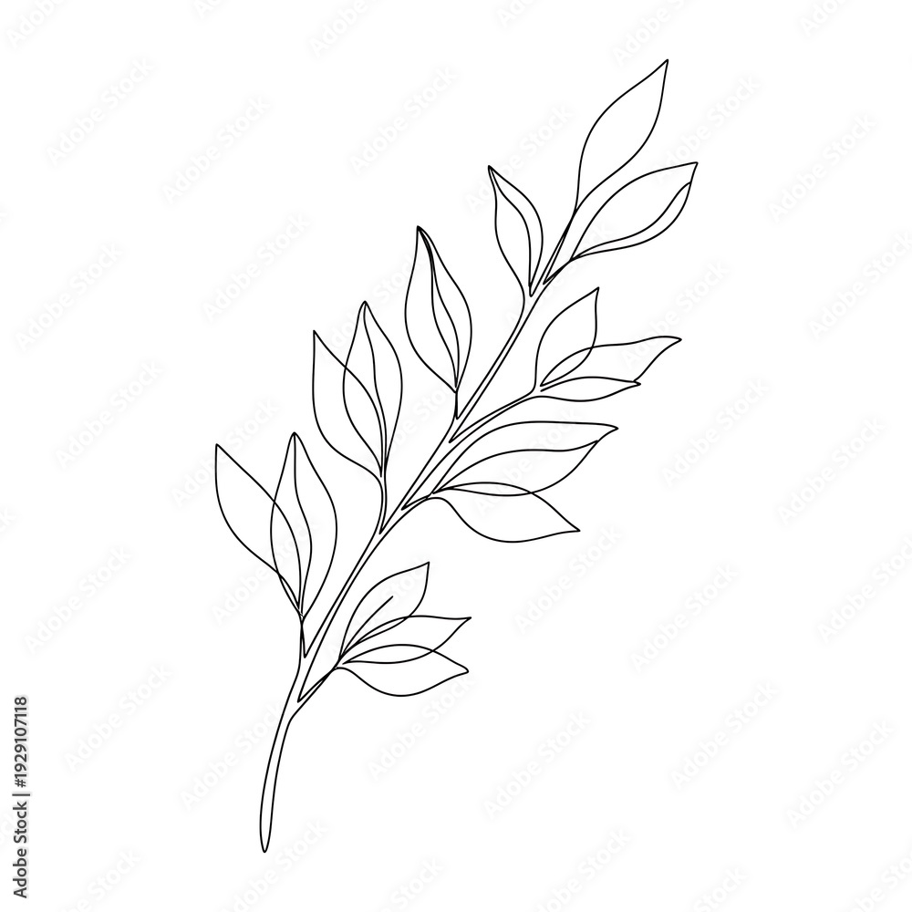 Fototapeta premium Simple black and white line drawing of a leafy branch.