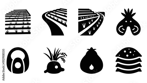 set of black and white rice field landscapes and rice grains in hand drawn style