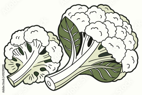 A vector graphic illustration of two cauliflower heads with green leaves on a white background