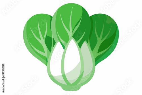 A minimalist vector graphic illustration of a fresh green bok choy vegetable