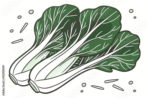A vector graphic illustration of three bok choy vegetables with green leaves and white stalks