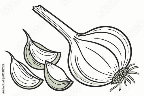 A vector graphic illustration of a whole onion with cloves and slices on a white background