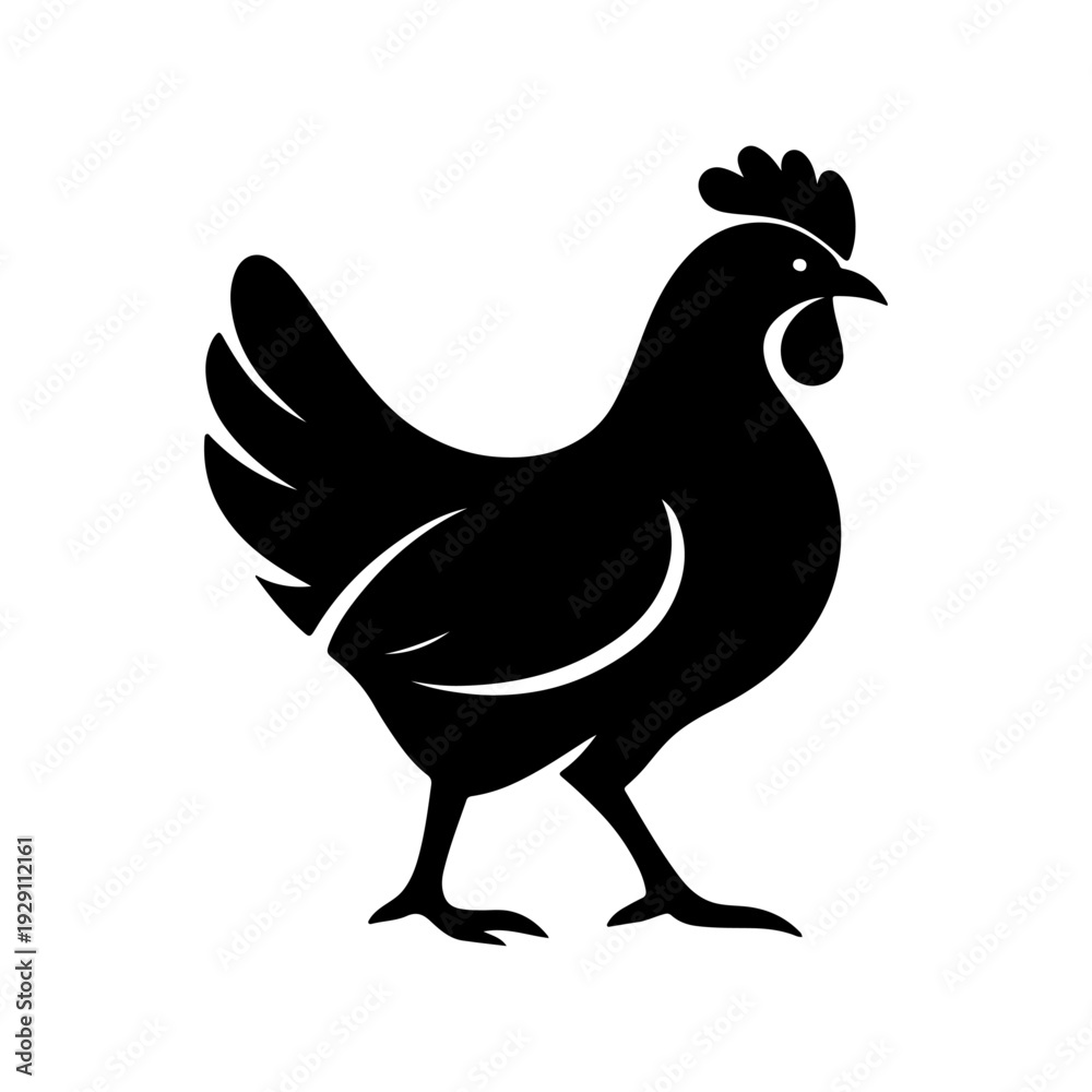 custom made wallpaper toronto digitalHand-drawn chicken vector element for livestock and agriculture design.