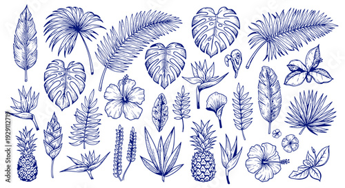 Exotic Tropical Botanical Hand Drawn Sketch Collection Featuring Leaves Flowers Pineapples And Bird of Paradise Flowers In Blue Ink