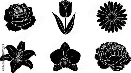Collection of six distinct black flower silhouettes on a white background