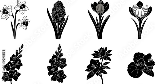 Collection of eight different black and white floral silhouette illustrations
