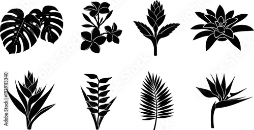 Collection of tropical plant and flower silhouettes on a white background