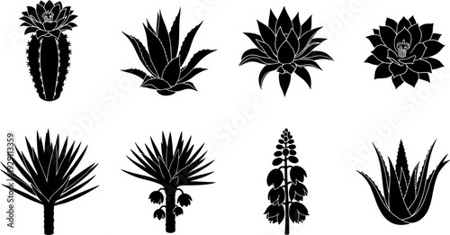 Collection of black silhouette illustrations of various desert plants and succulents