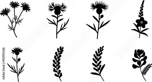 Collection of black silhouette wildflowers and botanical elements on a white background