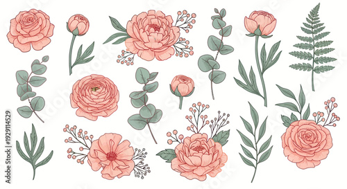 Elegant botanical elements in soft blush tones, including blooming roses, peonies, ranunculus, eucalyptus sprigs, and fern fronds, suitable for wedding designs and general decorative