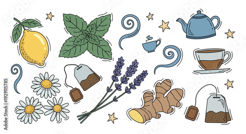 A charming collection of handdrawn natural tea ingredients including fresh lemon mint lavender chamomile ginger and warm beverage items like teapots and cups perfect for health food blogs